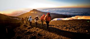 Mt. Kilimanjaro Hike - Lemosho Route
