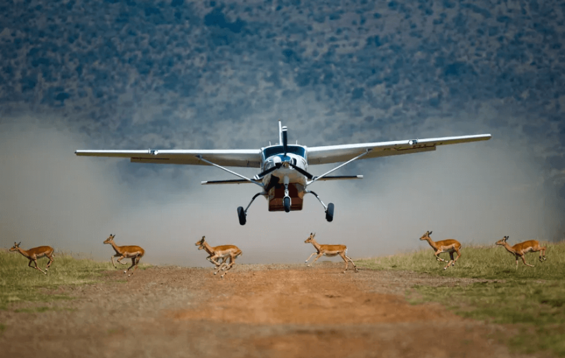 Tsavo West & Maasai Mara Fly-in Safari